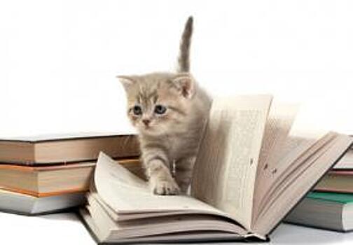 Осталось 2 дня до сдачи в печать Справочника транспортно-логистических компаний-2017