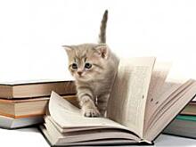 Осталось 2 дня до сдачи в печать Справочника транспортно-логистических компаний-2017