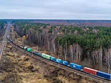 Комитет ГД по транспорту  и СОЖТ обсудили актуальные вопросы развития грузовых жд-перевозок