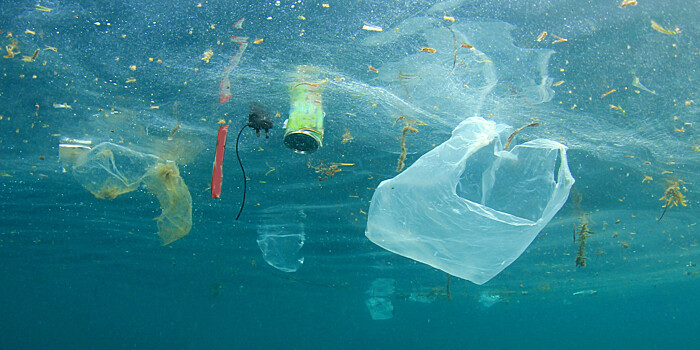 Эколог: Загрязнение мирового океана пластиком может сказаться на здоровье людей. ЭКСКЛЮЗИВ