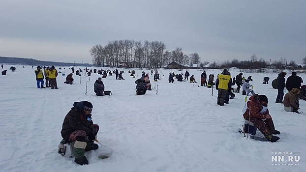 Фото дня. «Народ аж из Мурманска и Архангельска к нам приехал»