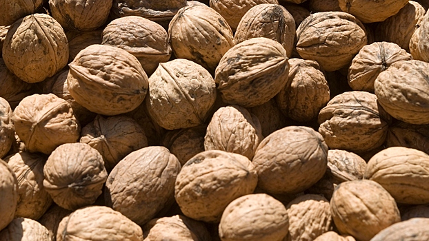 Какие орехи помогут справиться со стрессом