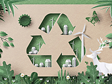 Эффект домино, или Несколько сценариев экологических катастроф