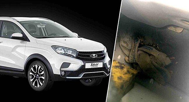 В крыле LADA XRay Cross нашли перчатку рабочего завода
