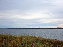 "Самаранефтегаз" продолжает восстанавливать популяцию стерляди