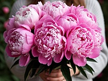 Как правильно выбрать и купить букет цветов для любимой: гид по стилю и свежести