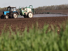 Индийская делегация обсудит на ПМЭФ поставки удобрений и калия