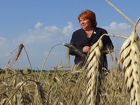 Депутат Госдумы РФ Светлана Максимова предложила ввести налог для личных подсобных хозяйств