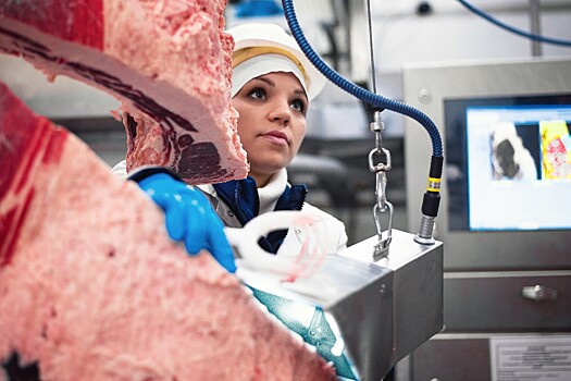 «Мираторг» нарастил производство премиальной говядины Signature вдвое