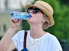 ЛДПР предложила не наказывать за опоздание на работу из-за жары