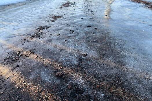 В Москве ожидаются облачная погода и температура до плюс 2 градусов