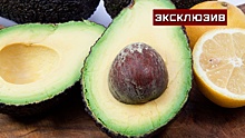 Диетолог рассказал о неожиданных свойствах авокадо