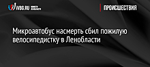 Микроавтобус насмерть сбил пожилую велосипедистку в Ленобласти