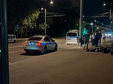 Сбившему детей на переходе в Москве предъявили обвинение