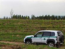 В 2025 г. лесная охрана Самарской области выявила 50 незаконных рубок