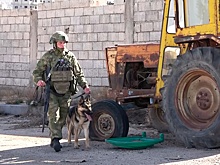 Гуманитарная акция под охраной: военнослужащие РФ раздали продукты жителям сирийской Шахбы