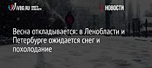 Весна откладывается: в Ленобласти и Петербурге ожидается снег и похолодание