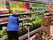 Прибыль крупных продуктовых сетей в России упала вдвое