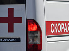 В Петербурге мигрант отрезал себе ногу, когда спиливал деревья