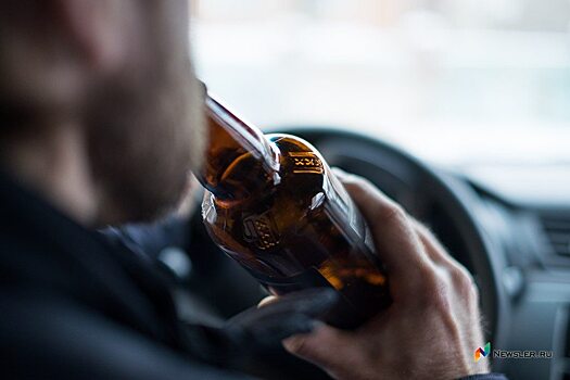 Пьяный водитель из Питерки отработает наказание