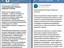 Министра образования Башкортостана уличили в плагиате