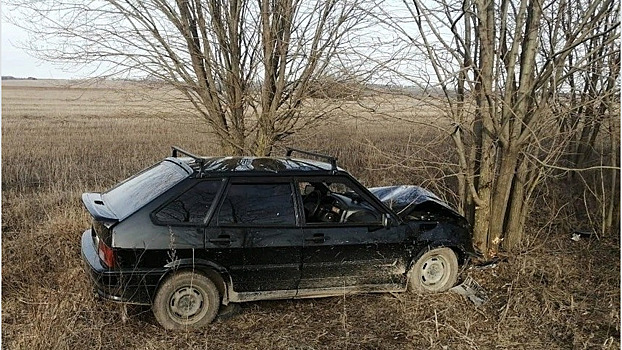 В Кировской области «четырнадцатая» врезалась в дерево из-за помехи на трассе