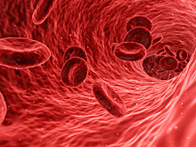 Анализ крови может помочь выявить пациентов с риском развития кардиомиопатии