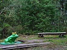 Стали известны итоги онлайн-голосования по выбору проектов благоустройства в Петрозаводске