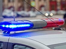 В Вологодской области полицейским пришлось стрелять по машине пьяного водителя