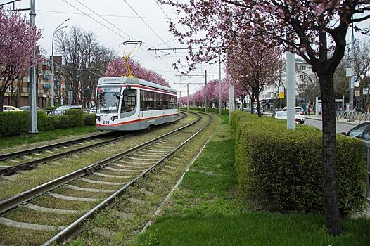 В Краснодаре работу общественного транспорта сократили до трех часов утром и трех часов вечером