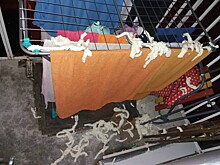 «Вещи можно выкинуть»: балкон квартиры в Октябрьском районе залило монтажной пеной