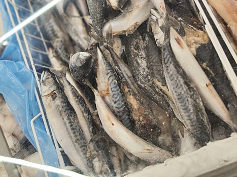 В Челябинской области растет производство товарной рыбы: какие виды выращивают