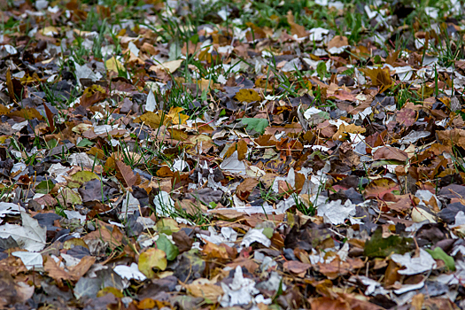 Похолодание до -11°C ожидается в понедельник в Кузбассе