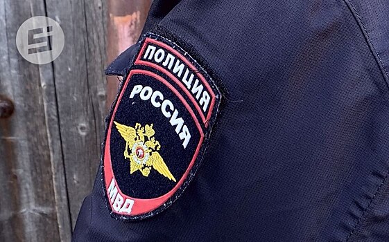 Житель Ижевска отправится в колонию за то, что пнул полицейского