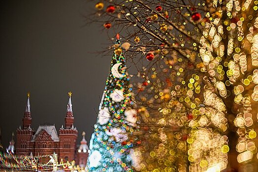 В Кремль привезут главную новогоднюю ель России