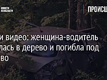 Фото и видео: женщина-водитель врезалась в дерево и погибла под Мяглово
