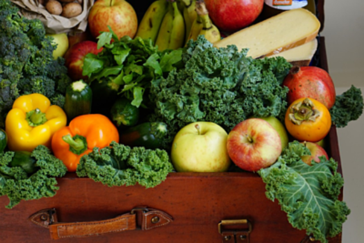 Более 1,5 т овощей и фруктов продали в Химках на социальной ярмарке «Ценопад»