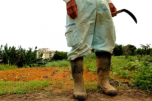 В Башкирии фермеры могут получить грант на развитие