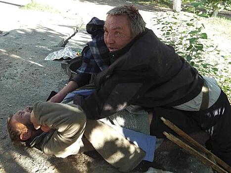Председатель совета ветеранов предложил отлавливать бездомных