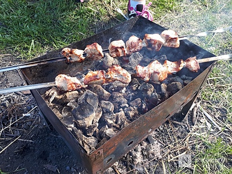 «Чем меньше жира, тем лучше»: нижегородцам дали советы по выбору шашлыка