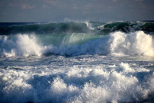 К берегу пляжа в Европе приплыло разложившееся человеческое тело