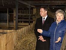 Женщина-фермер из Ивановской области добивается успехов в овцеводстве