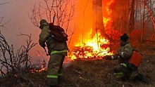 В Туапсинском районе Кубани площадь лесного пожара выросла вдвое