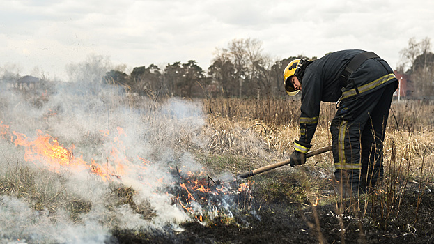 3 пожара на территории лесов Подмосковья ликвидировано за 24 апреля