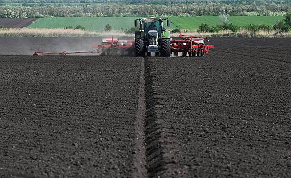 Российские сельхозпредприятия столкнулись с угрозой банкротства