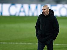 Дюгарри хочет, чтобы Зидан сменил Дешама в сборной Франции