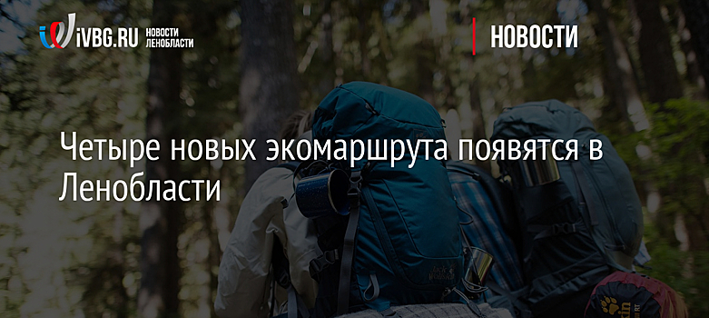 Четыре новых экомаршрута появятся в Ленобласти