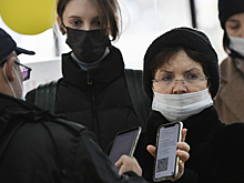 Россиян призвали не поддаваться панике из-за слухов о птичьем гриппе