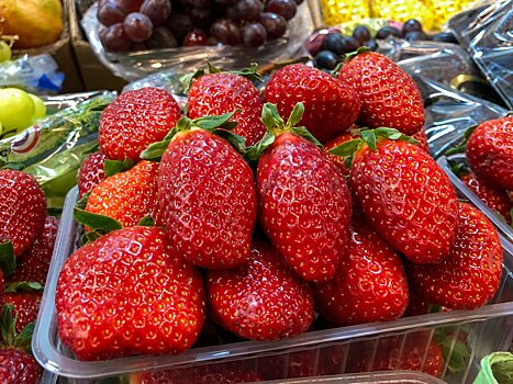 Глава Национального плодоовощного союза: запрет на фрукты из Турции не повлияет на цены