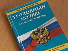 Озвучен процент пензенцев, наказанных за игнорирование повестки